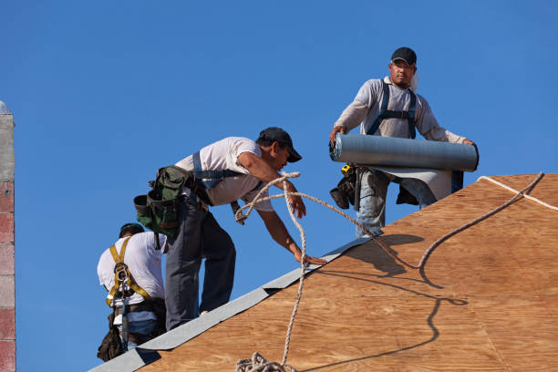 Best Flat Roof Repair Services  in Essex, IL