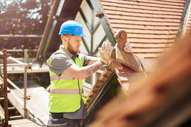 Best Roof Gutter Cleaning  in Essex, IL